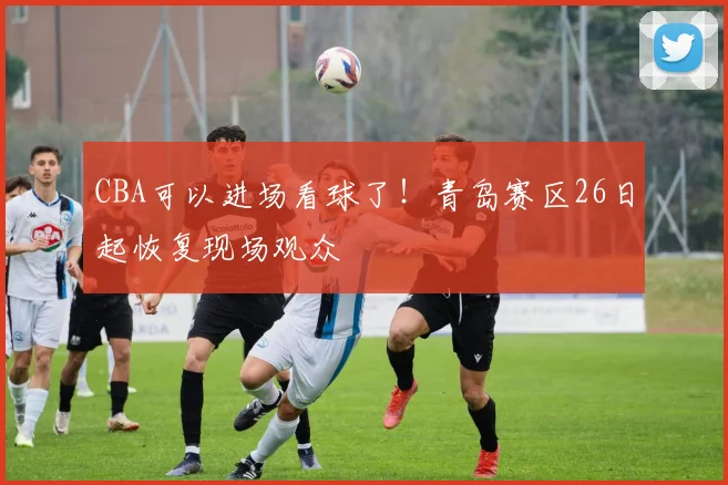 CBA可以进场看球了！青岛赛区26日起恢复现场观众