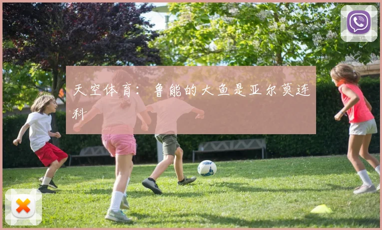 天空体育：鲁能的大鱼是亚尔莫连科
